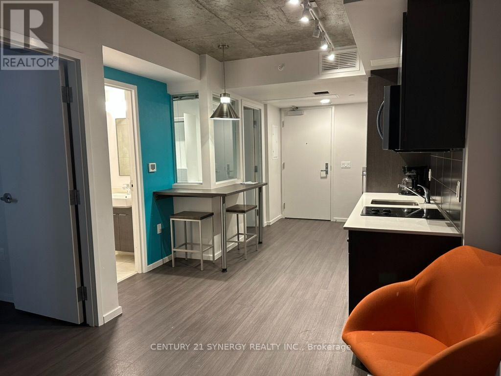 2109 - 105 Champagne Avenue S, Ottawa, Ontario K1S 4P3 - Photo 6 - X13684388