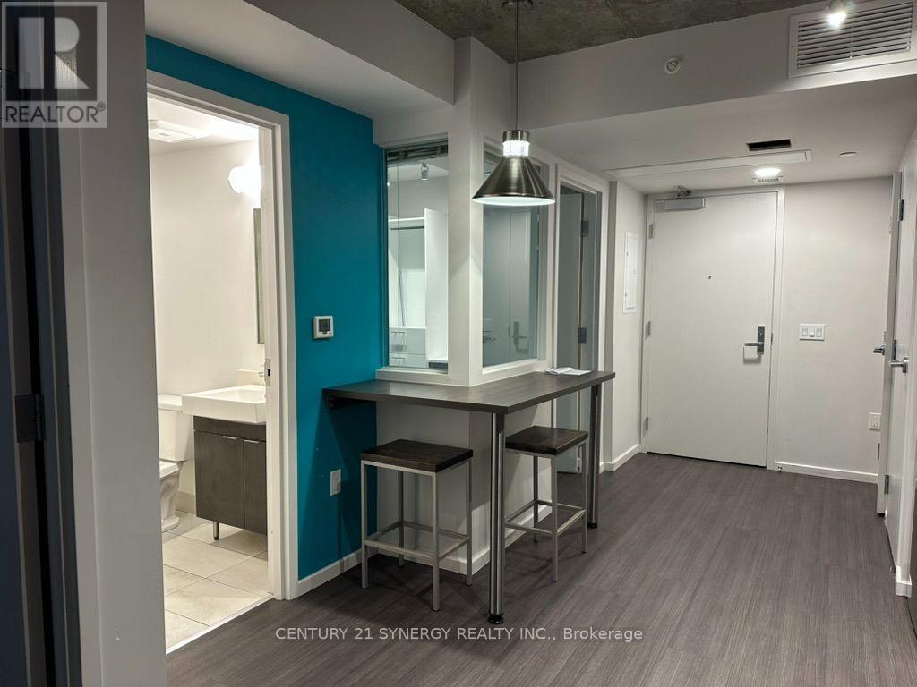 2109 - 105 Champagne Avenue S, Ottawa, Ontario K1S 4P3 - Photo 7 - X13684388