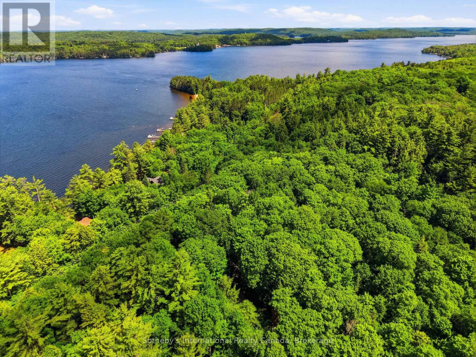 1100 Old Hwy 117 Highway, Lake Of Bays, Ontario  P0B 1A0 - Photo 49 - X13085344