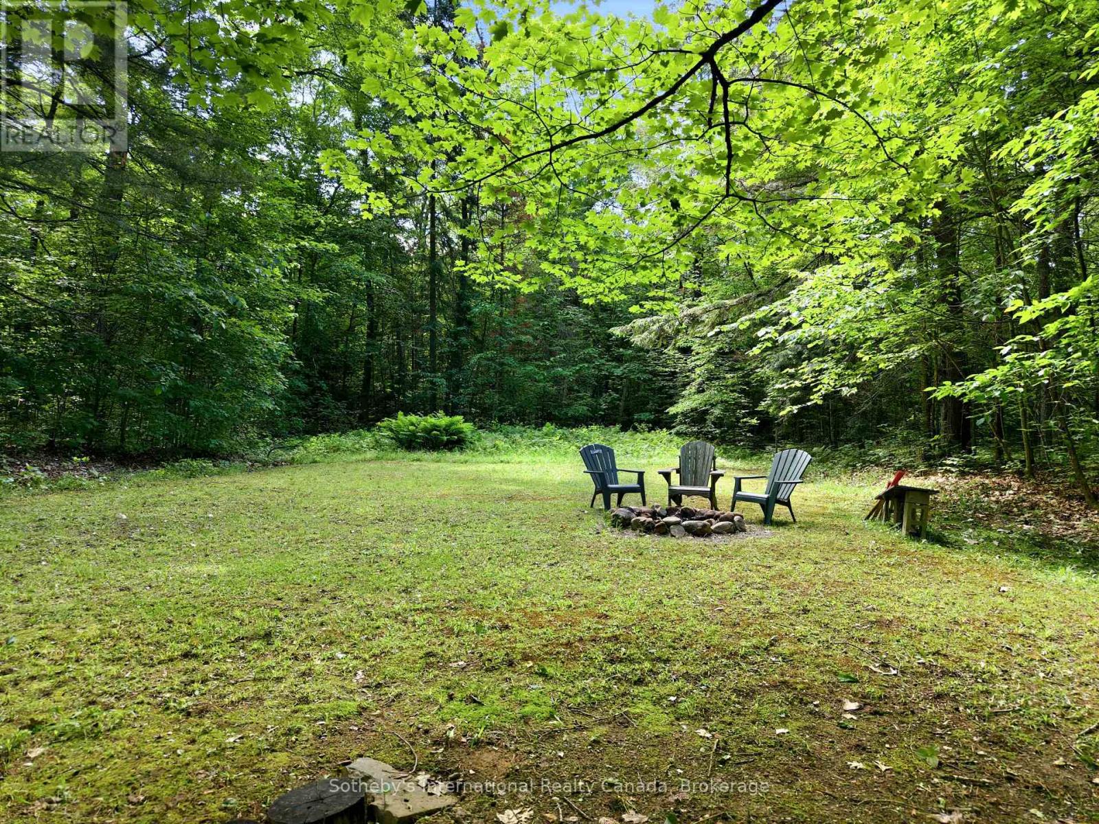 1100 Old Hwy 117 Highway, Lake Of Bays, Ontario  P0B 1A0 - Photo 47 - X13085344