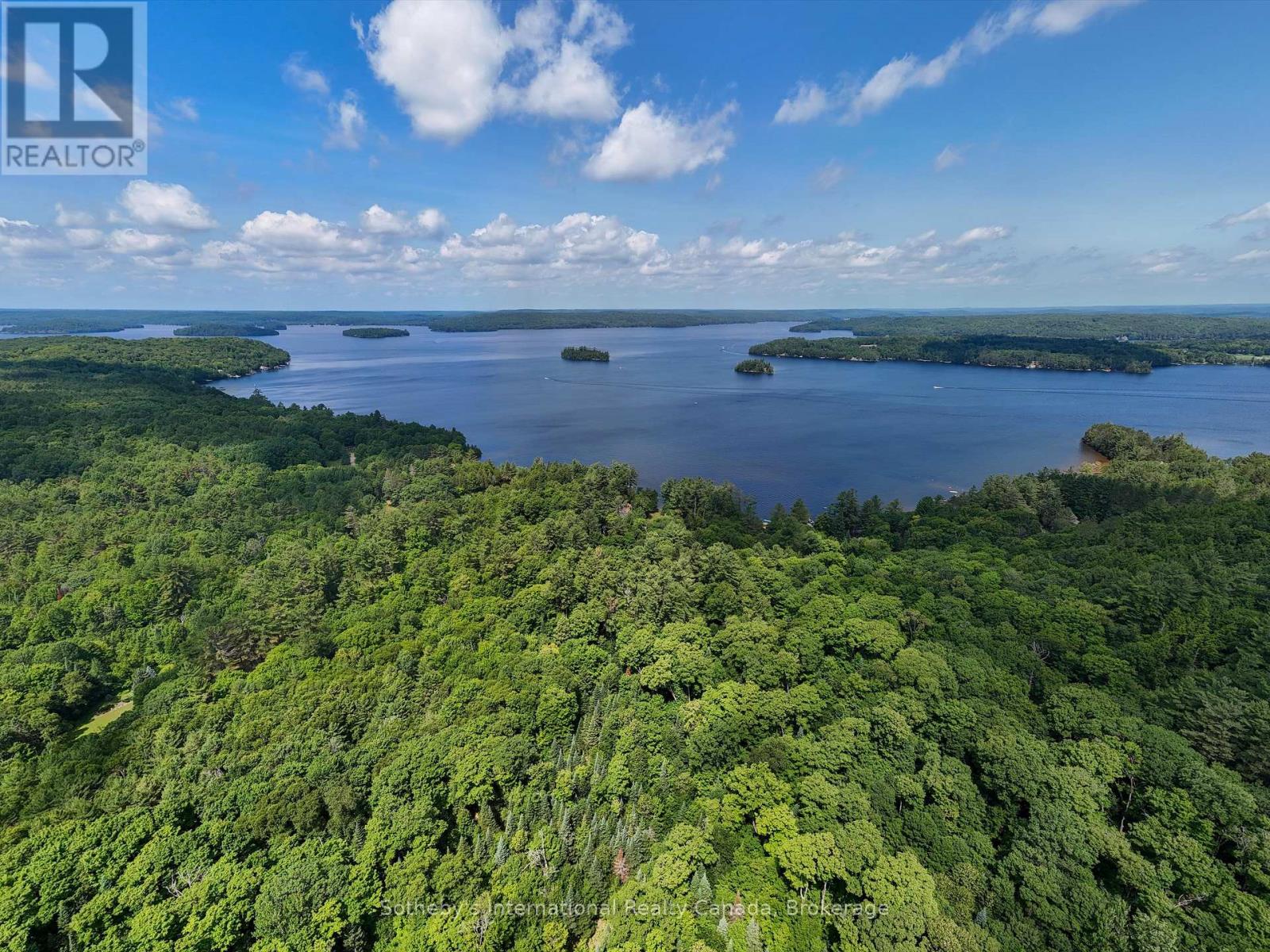 1098 Old Hwy 117, Lake Of Bays, Ontario  P0B 1A0 - Photo 6 - X13622970