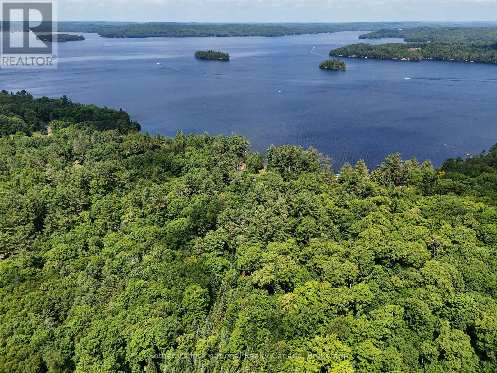 1098 Old Hwy 117, Lake Of Bays, Ontario  P0B 1A0 - Photo 7 - X13622970
