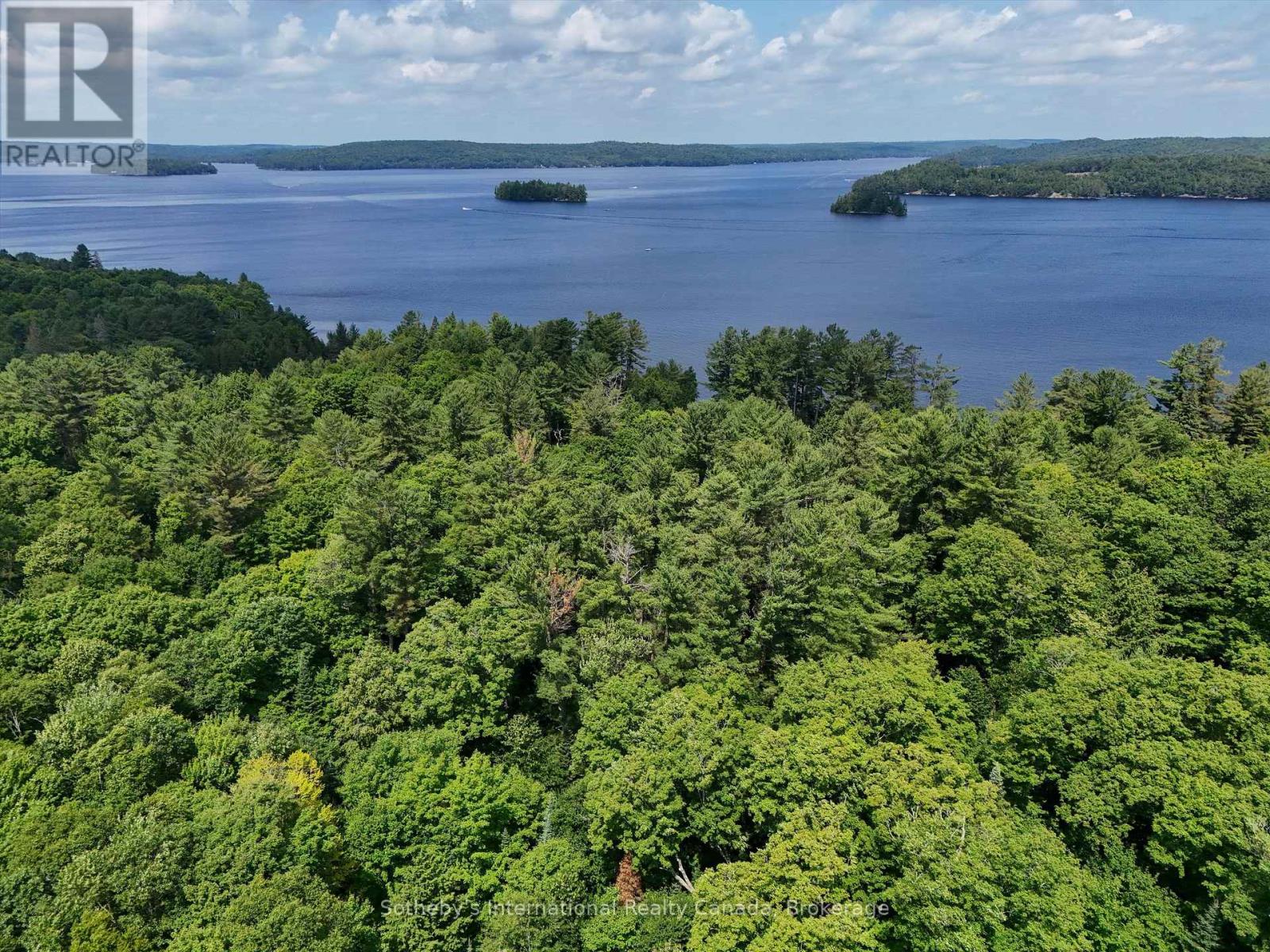 1098 Old Hwy 117, Lake Of Bays, Ontario  P0B 1A0 - Photo 8 - X13622970