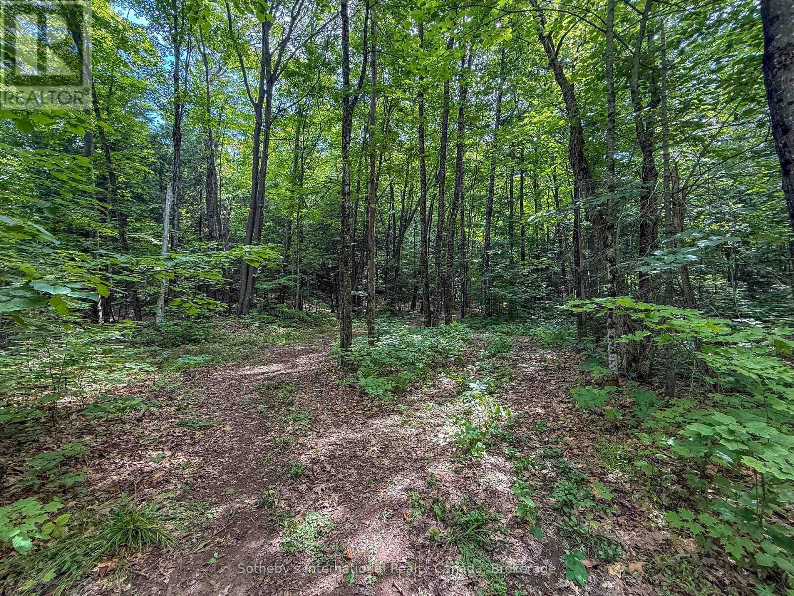 1098 Old Hwy 117, Lake Of Bays, Ontario  P0B 1A0 - Photo 12 - X13622970