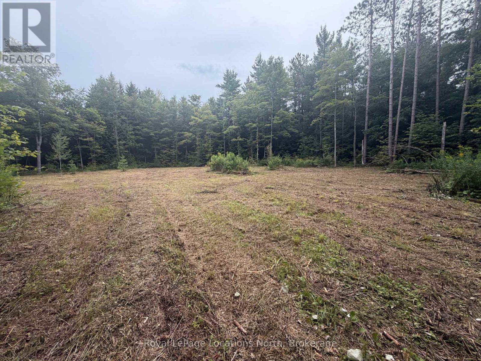 Pt Lot 4, Con 6 6th Line, Blue Mountains, Ontario  N0H 2E0 - Photo 2 - X13679294