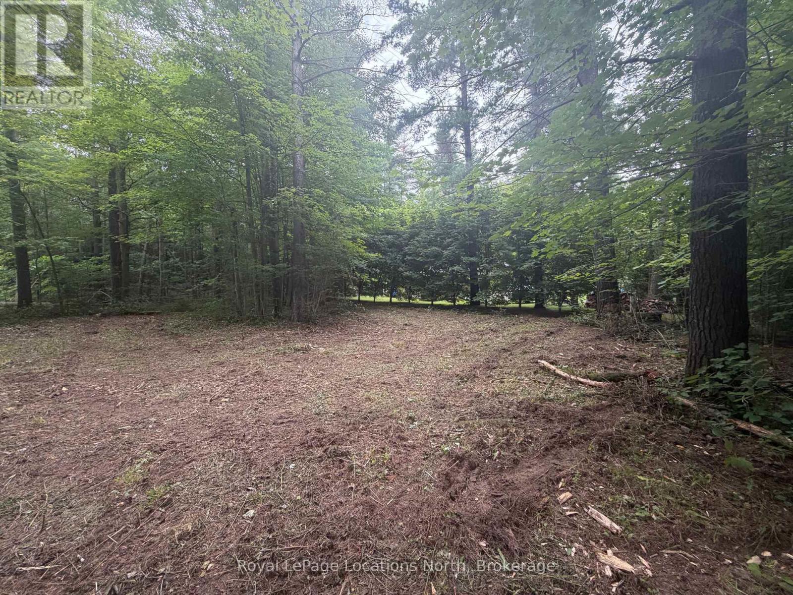 Pt Lot 4, Con 6 6th Line, Blue Mountains, Ontario  N0H 2E0 - Photo 4 - X13679294