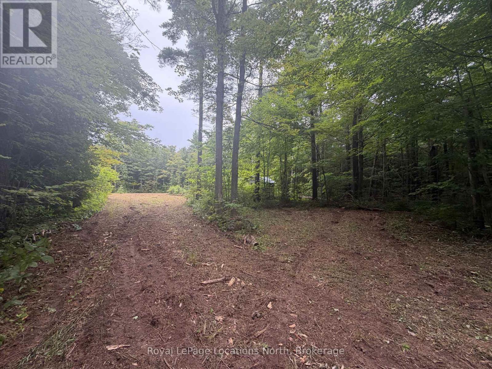 Pt Lot 4, Con 6 6th Line, Blue Mountains, Ontario  N0H 2E0 - Photo 3 - X13679294