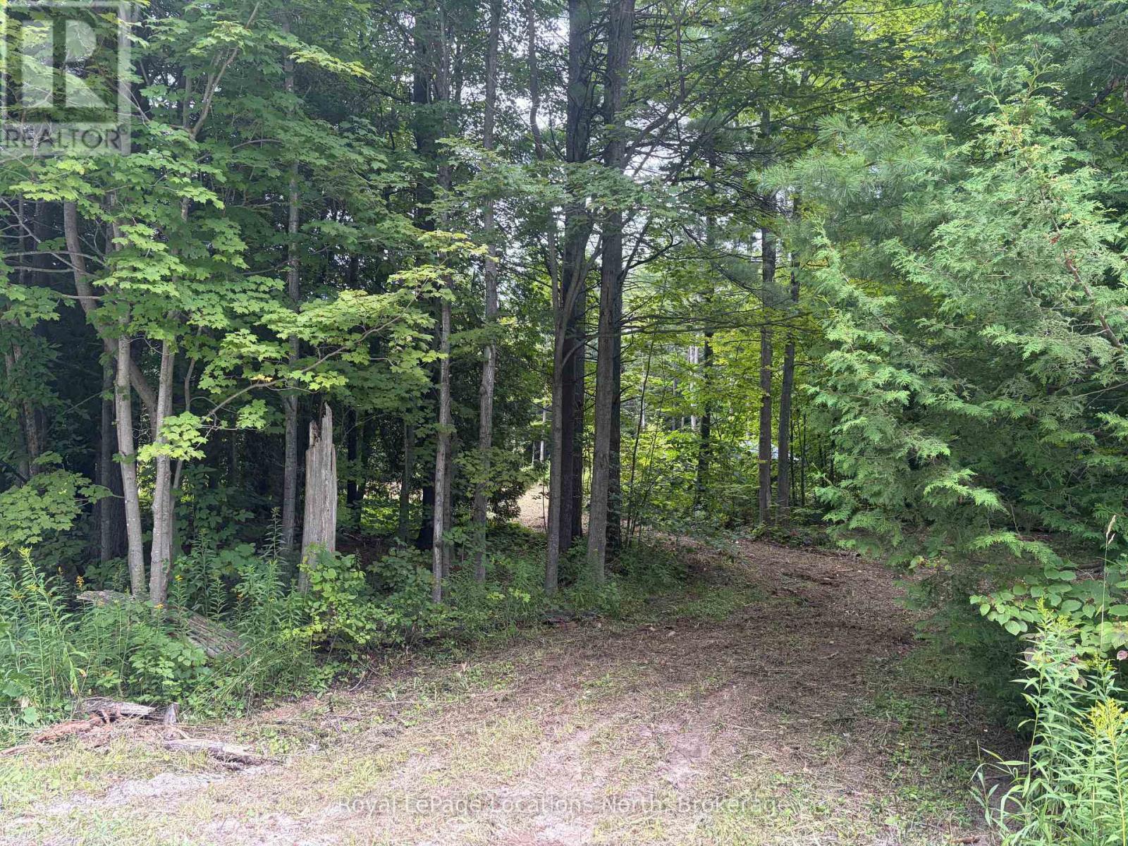 Pt Lot 4, Con 6 6th Line, Blue Mountains, Ontario  N0H 2E0 - Photo 5 - X13679294