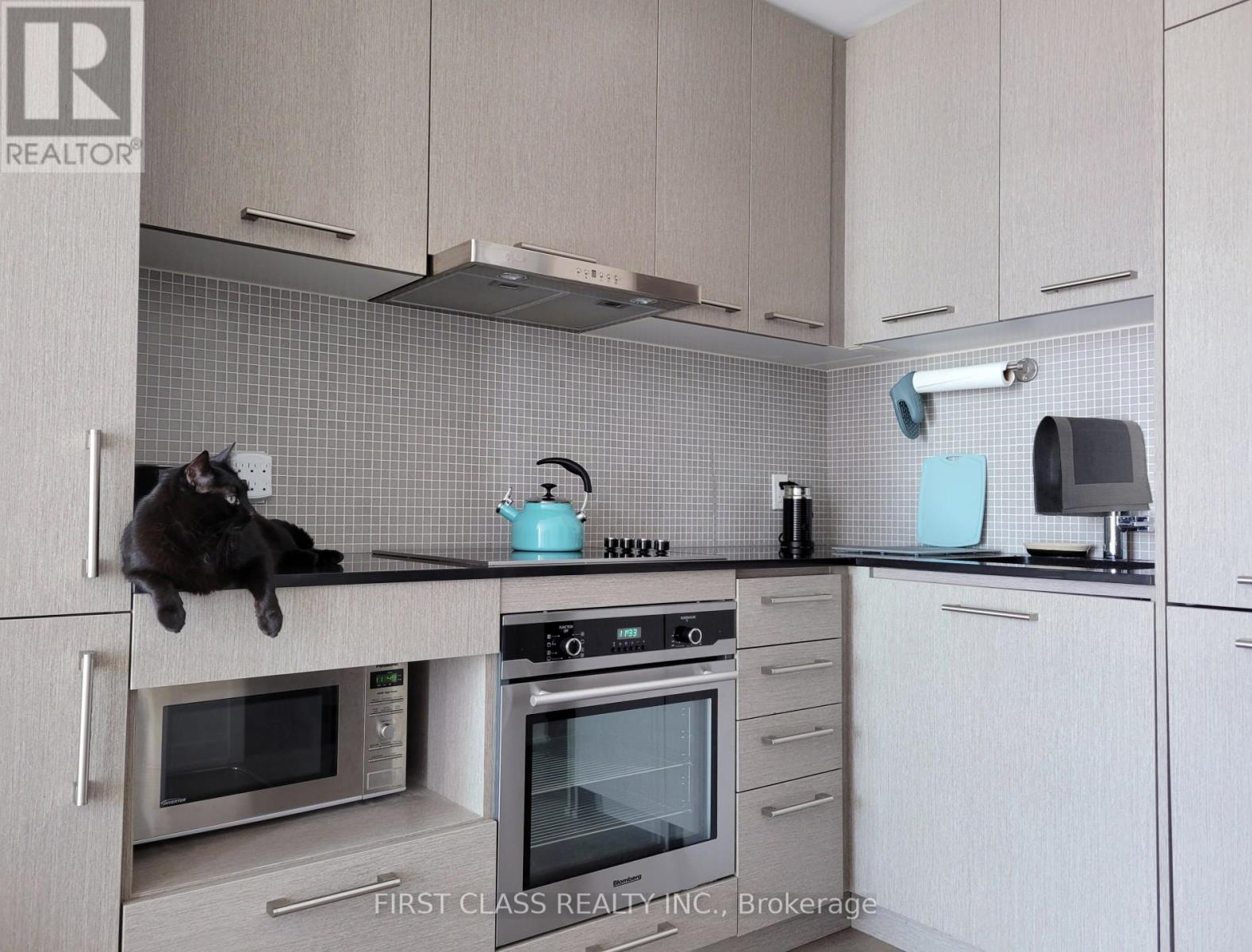 3901 - 87 Peter Street, Toronto, Ontario  M5V 0P1 - Photo 8 - C13684692