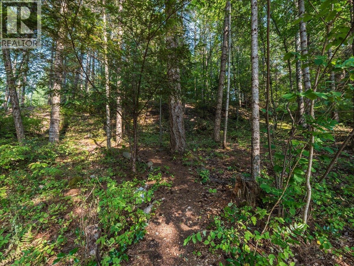 8864 Slocan  S Road, Slocan, British Columbia  V0G 2C0 - Photo 67 - 10397378