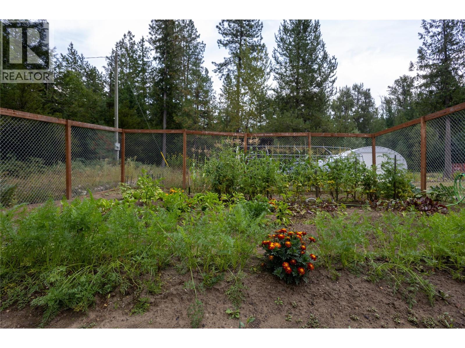 4453 Passmore Upper Road, Passmore, British Columbia  V0G 2J0 - Photo 41 - 10397813