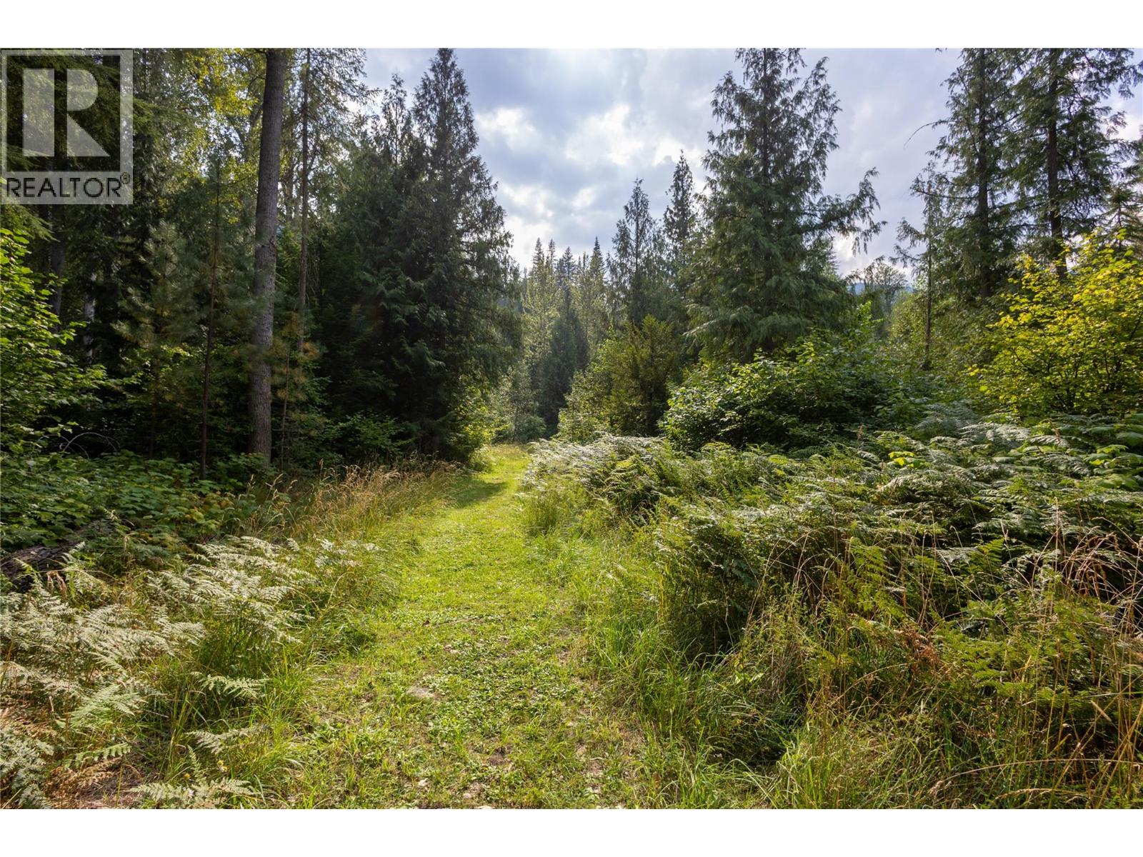 4453 Passmore Upper Road, Passmore, British Columbia  V0G 2J0 - Photo 61 - 10397813