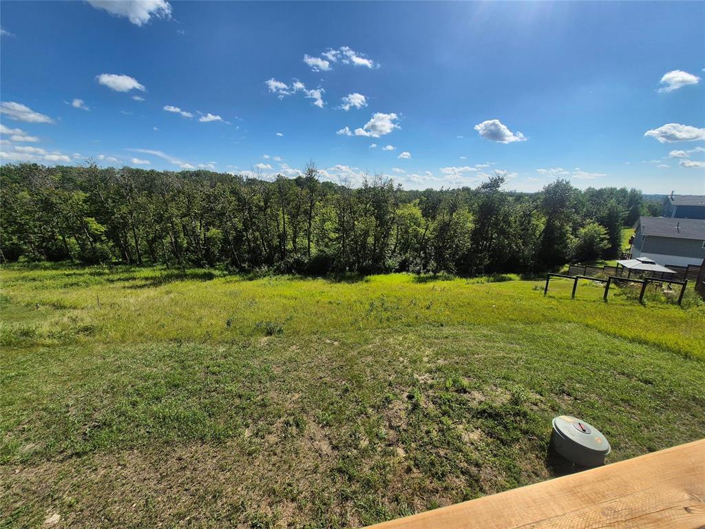 10 Marigold Lane, Minnedosa, Manitoba  R0J 1E0 - Photo 17 - 202620697