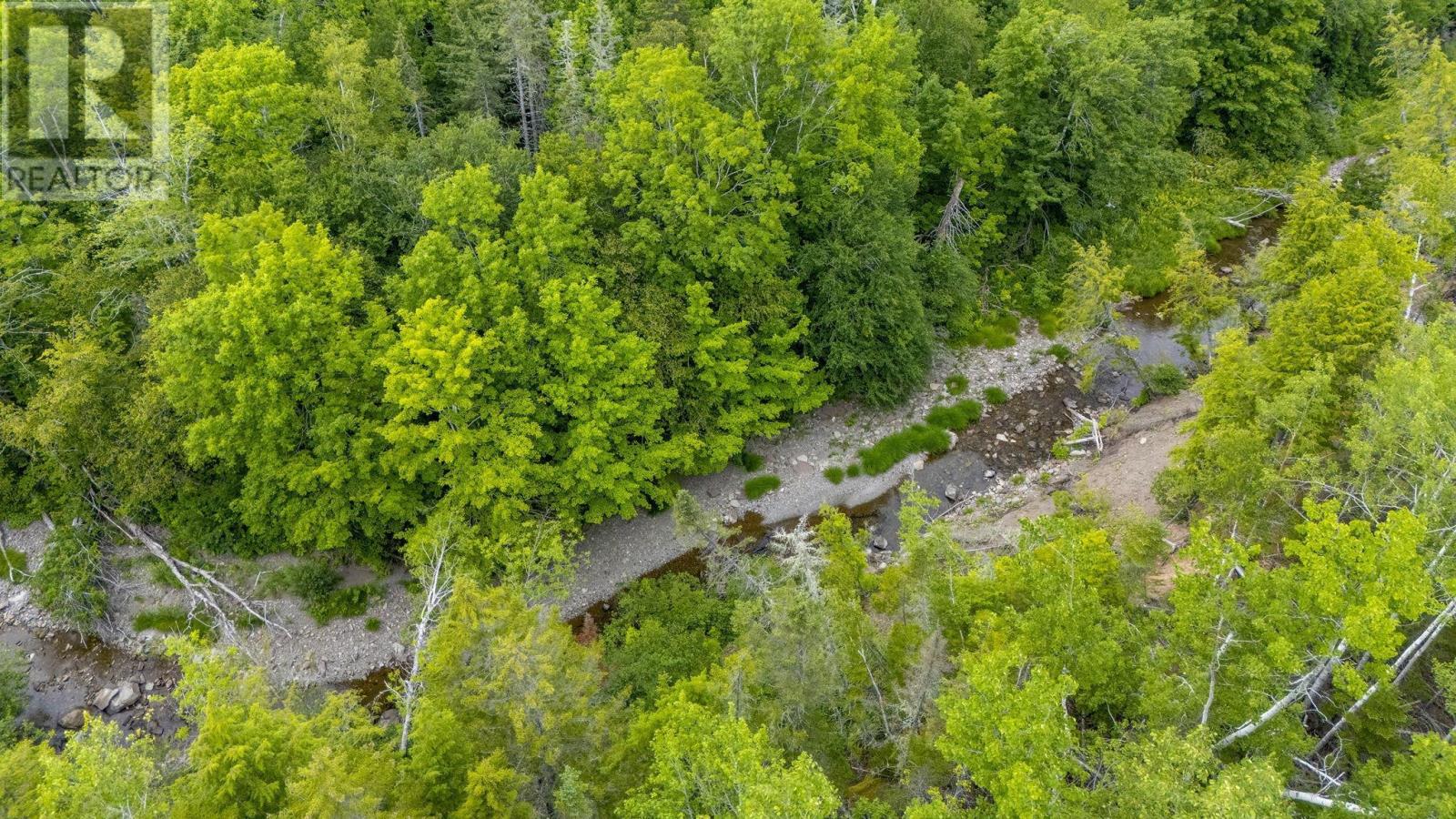 Graveyard Road, Stillman, Six Mile Brook, Nova Scotia  B0K 1P0 - Photo 4 - 202619471