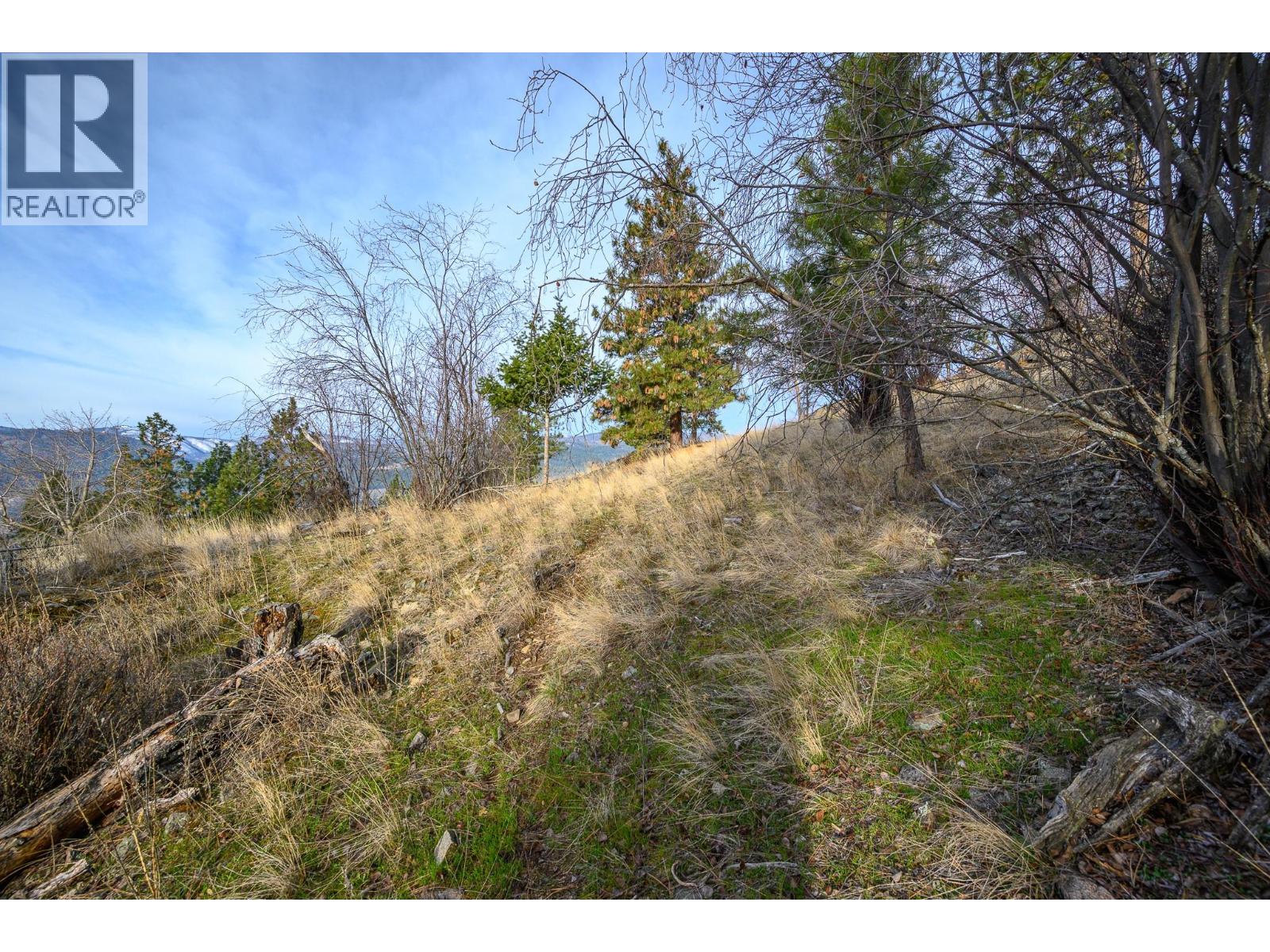 9196 Tronson Road Lot# 54, Vernon, British Columbia  V1H 1E8 - Photo 10 - 10379043