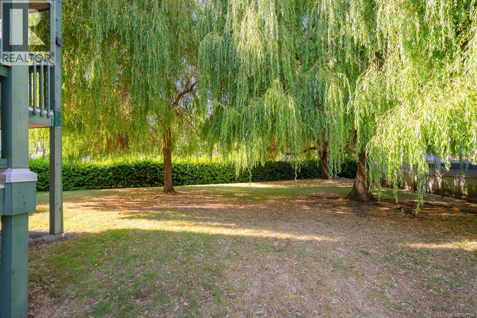 picture 28