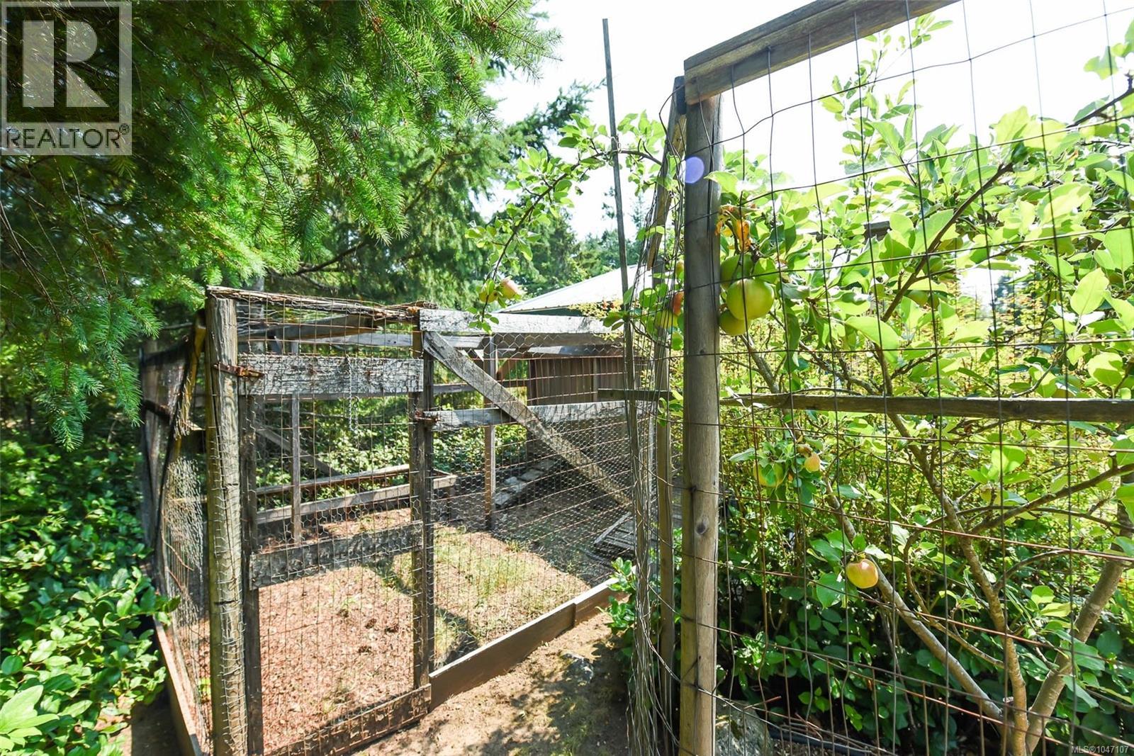 1131 Hecker Rd, Merville, British Columbia  V0R 2M0 - Photo 34 - 1047107