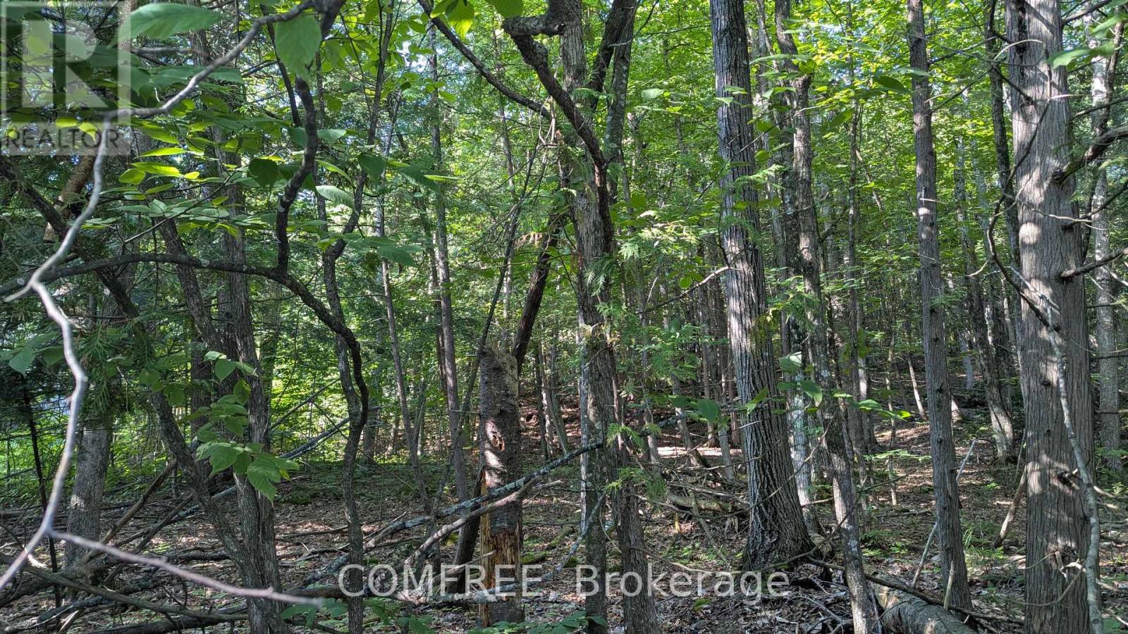 4853 OPEONGO ROAD, Ottawa, Ontario