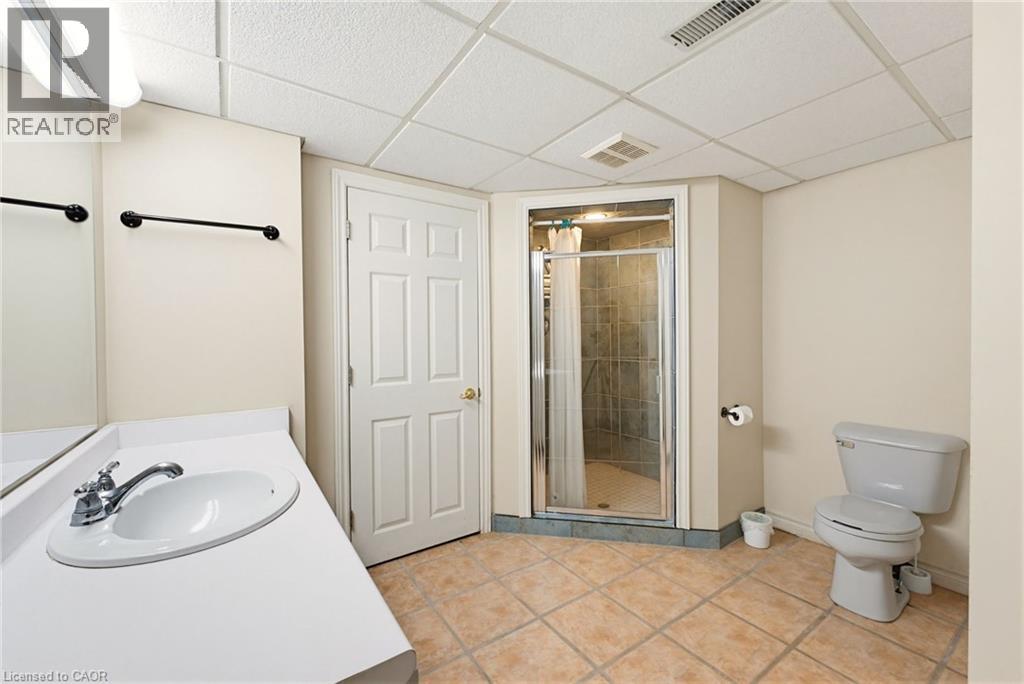 4274 Highway 56, Binbrook, Ontario  L0R 1C0 - Photo 40 - 40833720