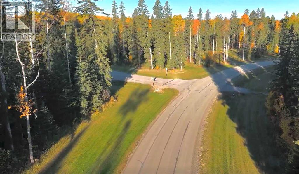 417 Valley View Close, Rural Clearwater County, Alberta  T4T 1A7 - Photo 25 - A2264705