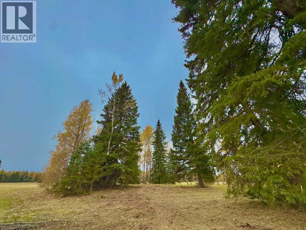 417 Valley View Close, Rural Clearwater County, Alberta  T4T 1A7 - Photo 6 - A2264705