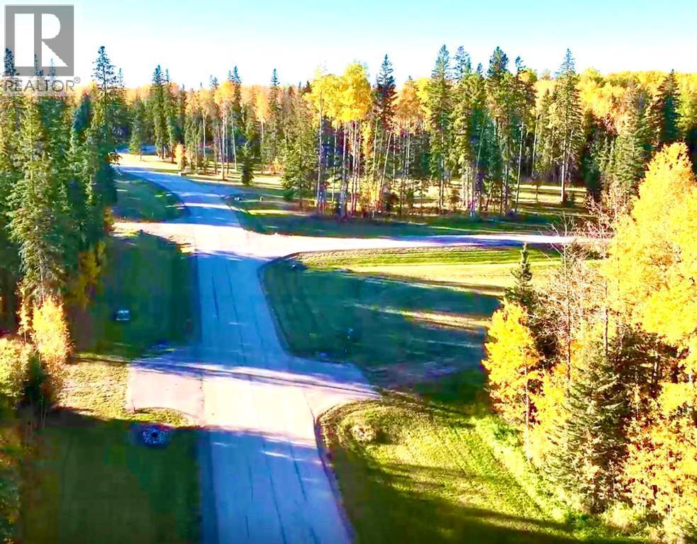 417 Valley View Close, Rural Clearwater County, Alberta  T4T 1A7 - Photo 20 - A2264705