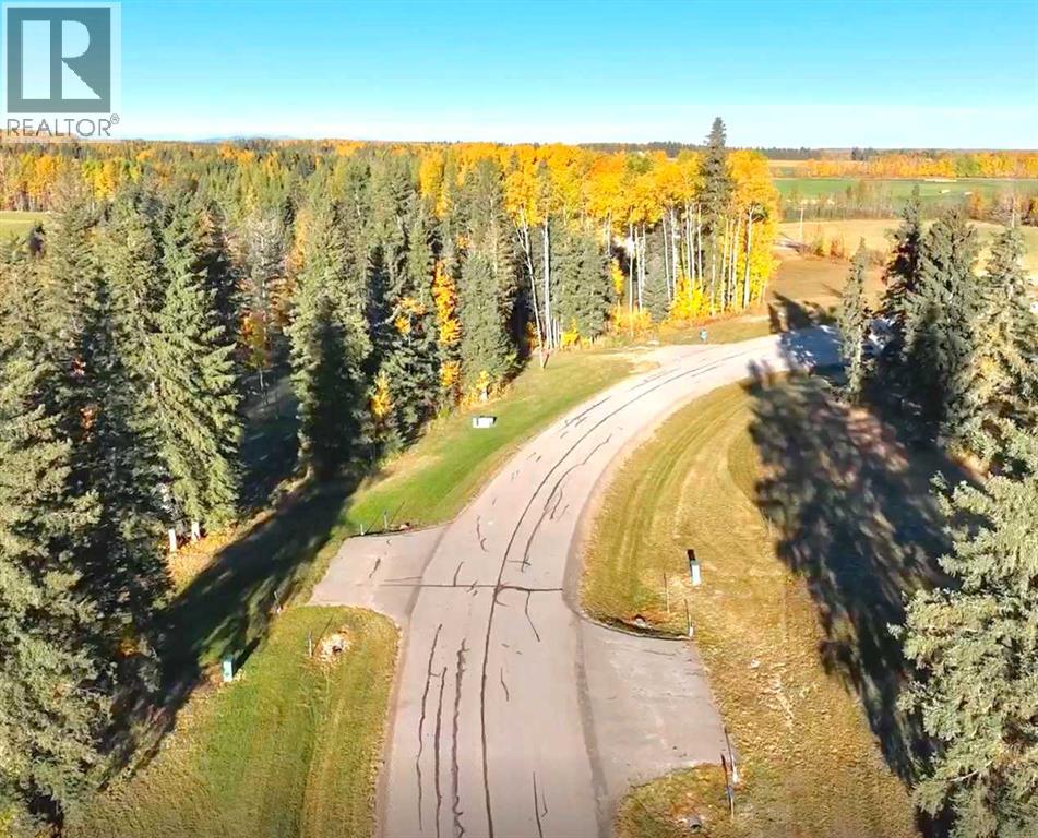 417 Valley View Close, Rural Clearwater County, Alberta  T4T 1A7 - Photo 23 - A2264705