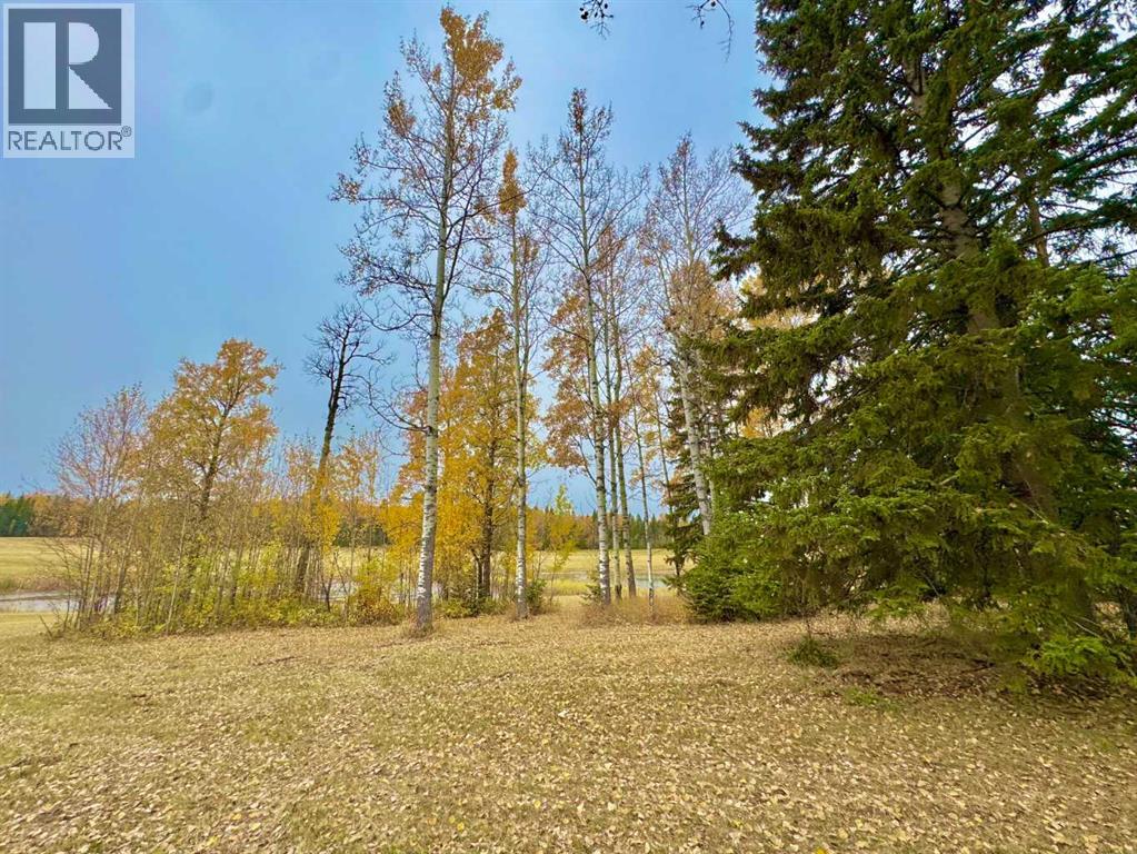 417 Valley View Close, Rural Clearwater County, Alberta  T4T 1A7 - Photo 4 - A2264705