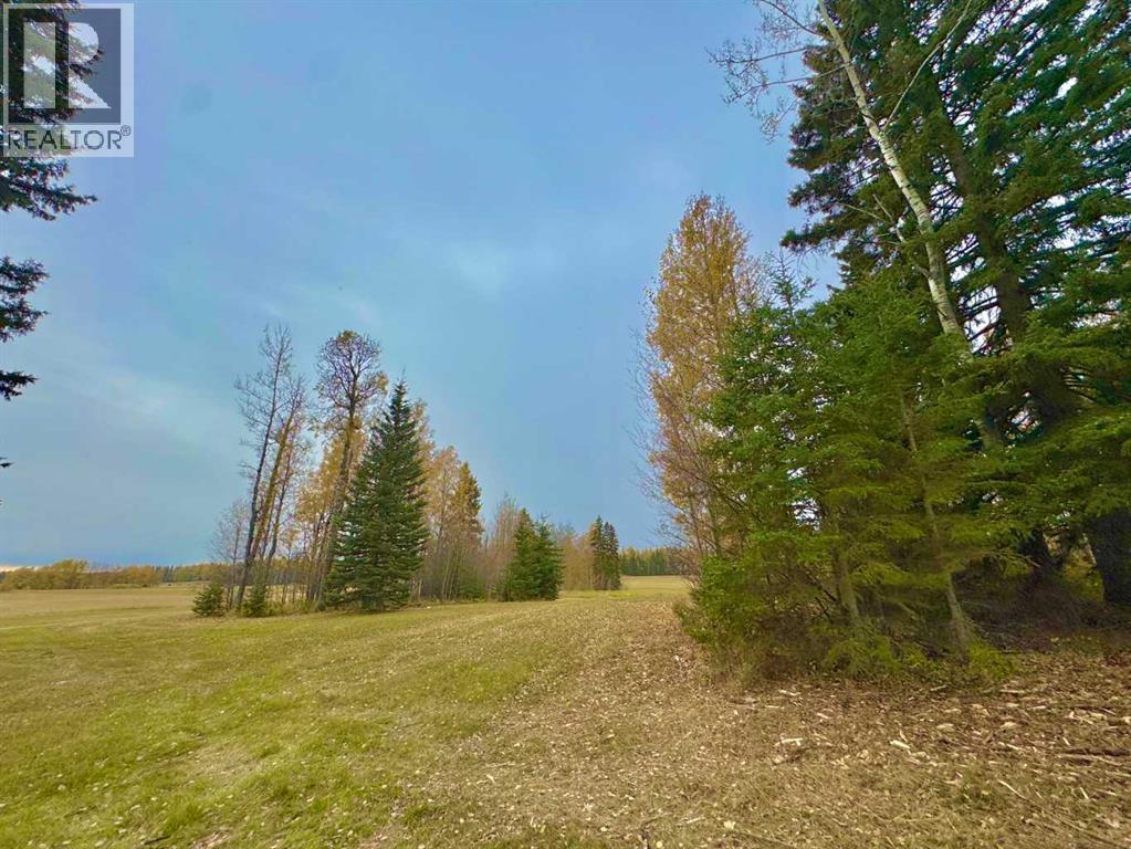 417 Valley View Close, Rural Clearwater County, Alberta  T4T 1A7 - Photo 5 - A2264705