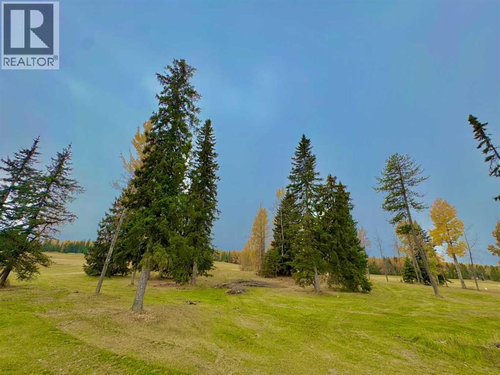 417 Valley View Close, Rural Clearwater County, Alberta  T4T 1A7 - Photo 7 - A2264705