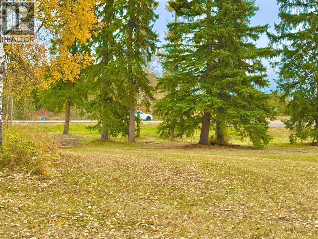 417 Valley View Close, Rural Clearwater County, Alberta  T4T 1A7 - Photo 2 - A2264705