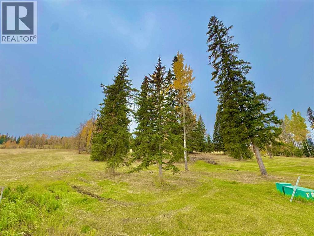 417 Valley View Close, Rural Clearwater County, Alberta  T4T 1A7 - Photo 10 - A2264705