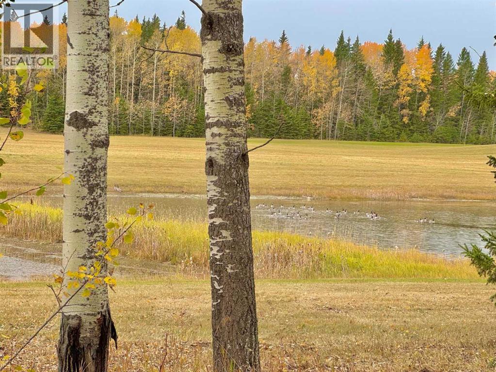417 Valley View Close, Rural Clearwater County, Alberta  T4T 1A7 - Photo 3 - A2264705