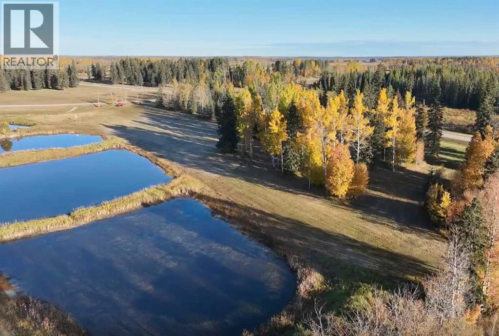 417 Valley View Close, Rural Clearwater County, Alberta  T4T 1A7 - Photo 21 - A2264705