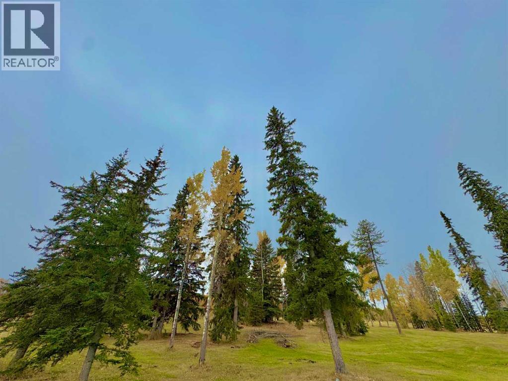 417 Valley View Close, Rural Clearwater County, Alberta  T4T 1A7 - Photo 8 - A2264705