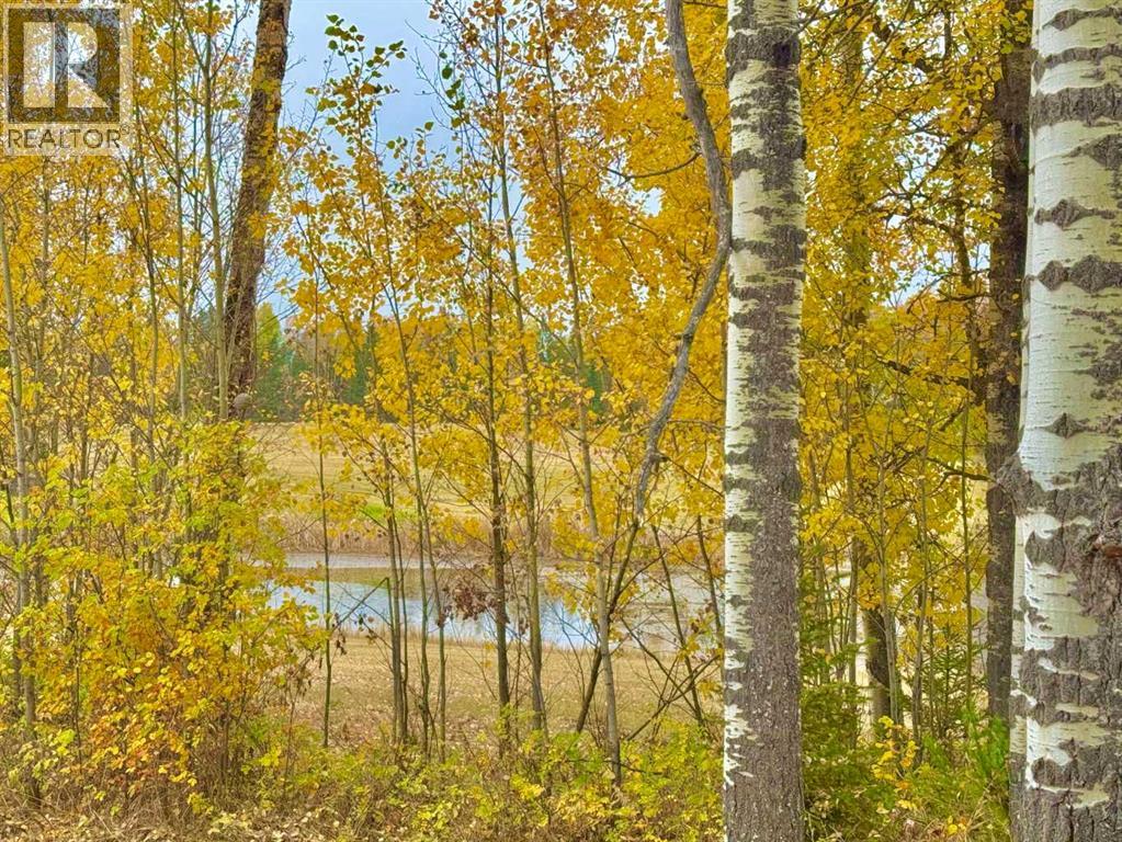 417 Valley View Close, Rural Clearwater County, Alberta  T4T 1A7 - Photo 1 - A2264705