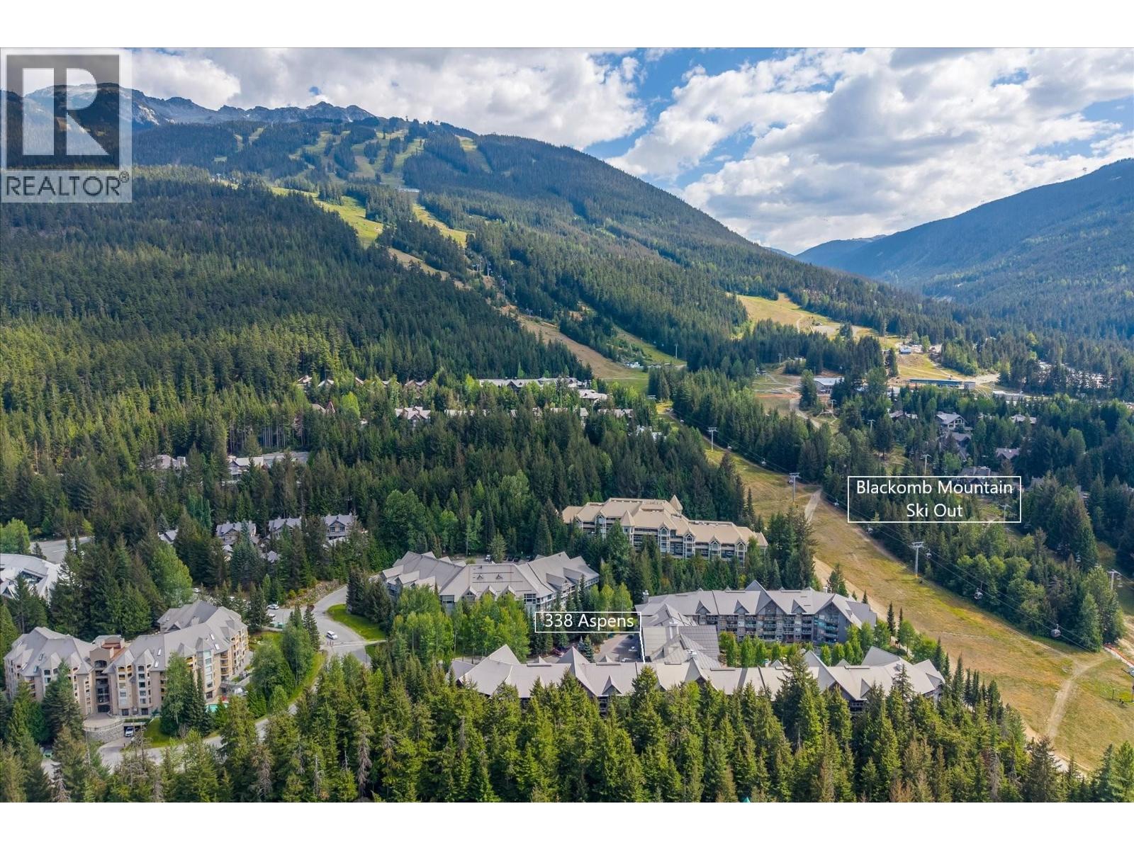 338 4800 Spearhead Drive, Whistler, British Columbia  V8E 1G1 - Photo 18 - R3156584
