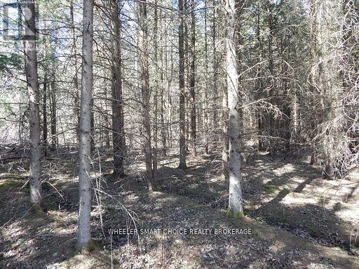 Part 1 52r8831 Raymond Road, South Stormont, Ontario K0C 1Y0 - Photo 4 - X13685456