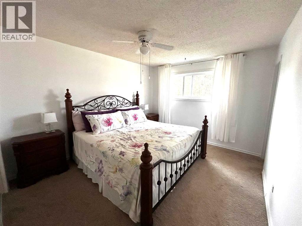 8 Louise Crescent, Duchess, Alberta  T0J 0Z0 - Photo 17 - A2337240