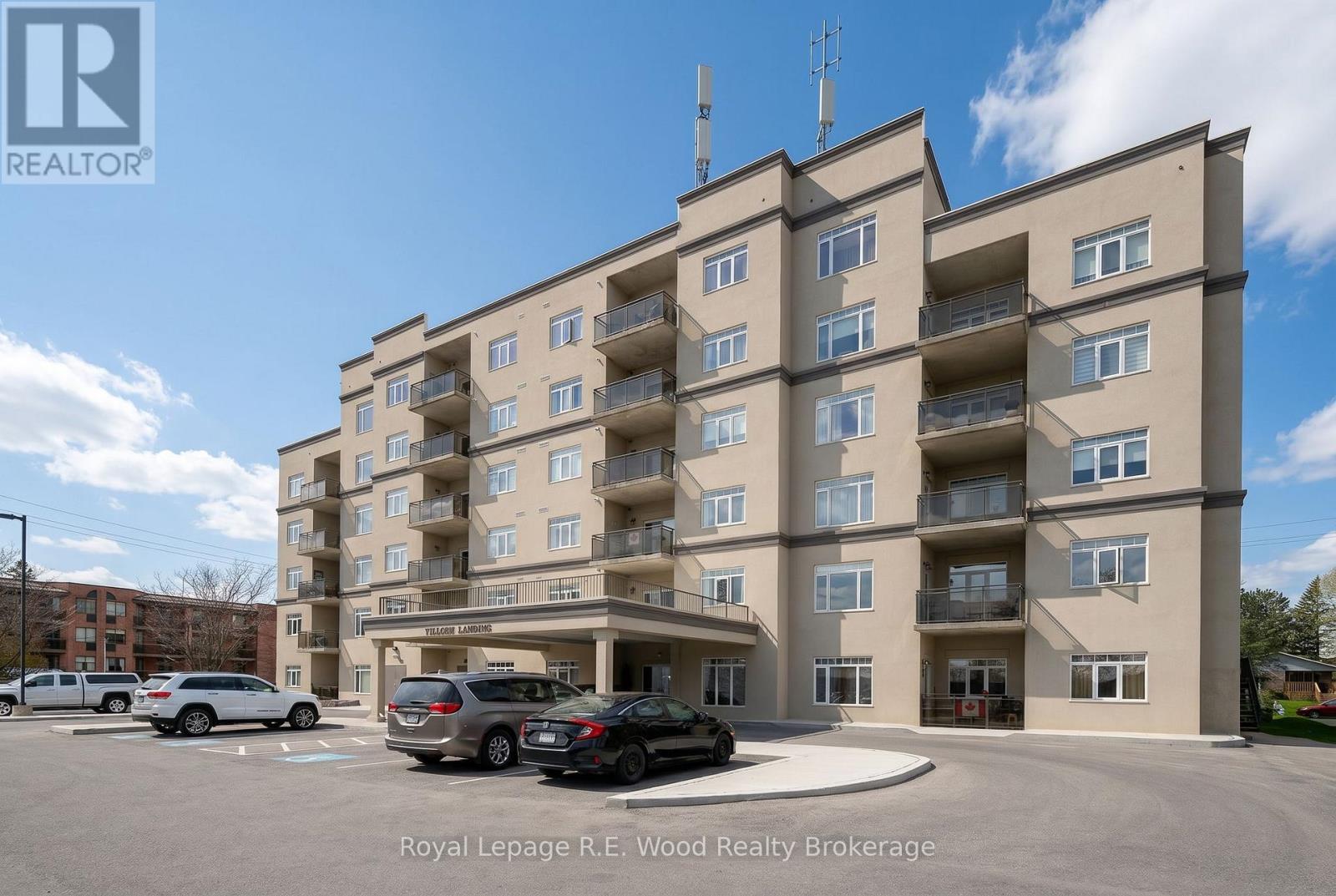 205 - 80 Bridge Street E, Tillsonburg, Ontario  N4G 1T2 - Photo 2 - X13081342