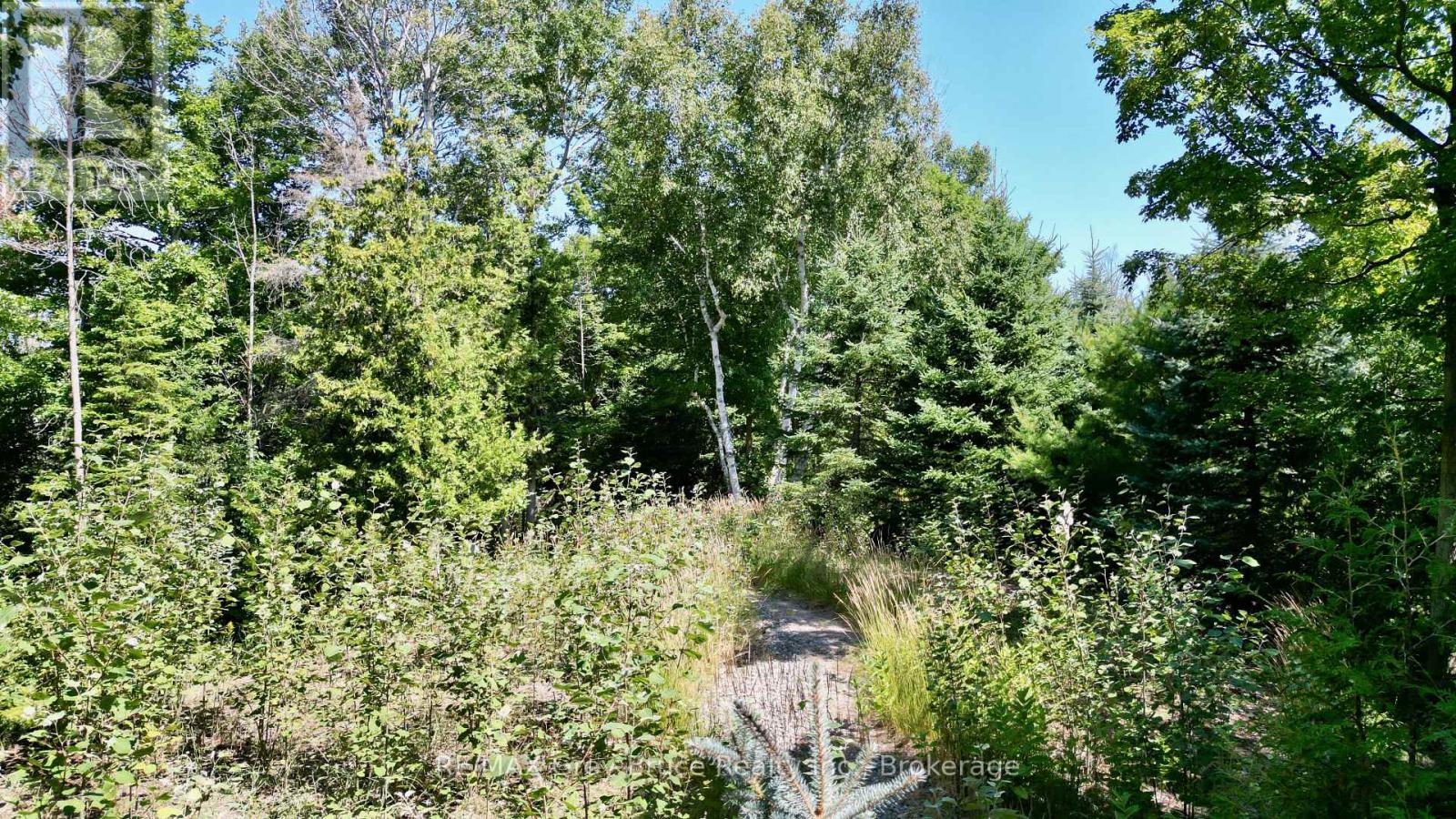 55 Whippoorwill Road, Northern Bruce Peninsula, Ontario  N0H 1W0 - Photo 10 - X13685494