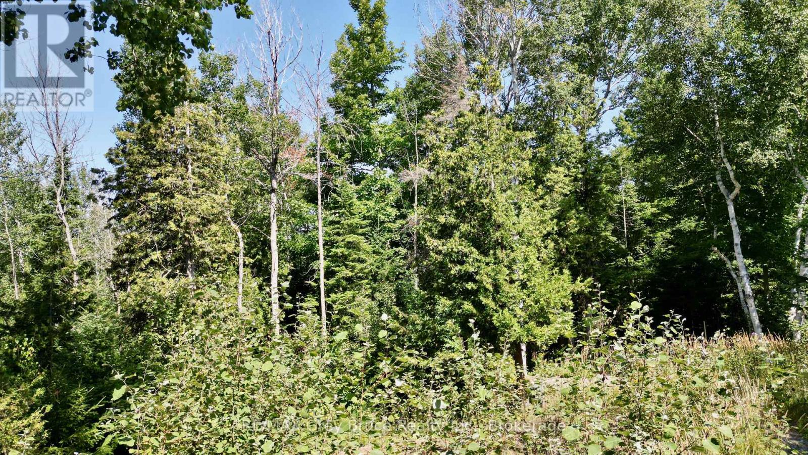 55 Whippoorwill Road, Northern Bruce Peninsula, Ontario  N0H 1W0 - Photo 11 - X13685494