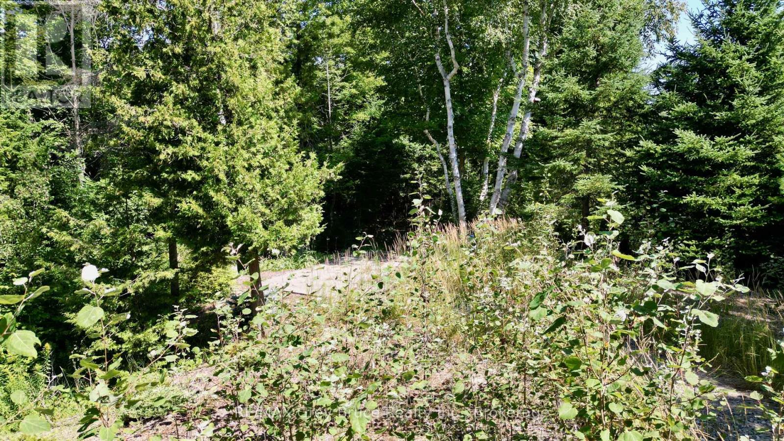 55 Whippoorwill Road, Northern Bruce Peninsula, Ontario  N0H 1W0 - Photo 12 - X13685494
