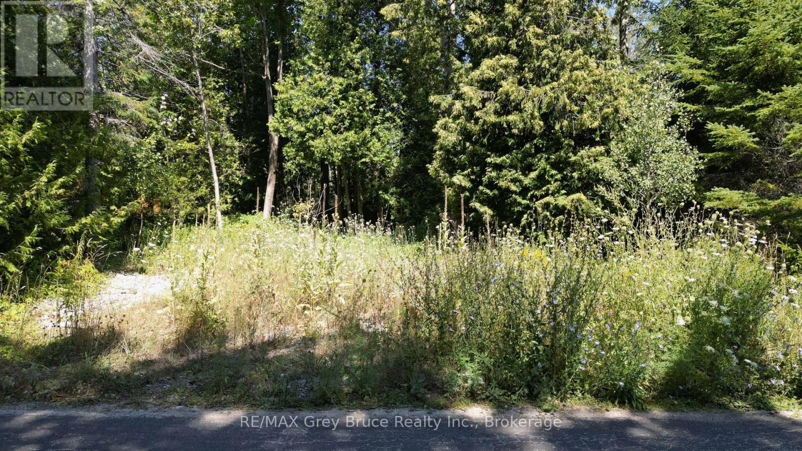 55 Whippoorwill Road, Northern Bruce Peninsula, Ontario  N0H 1W0 - Photo 2 - X13685494