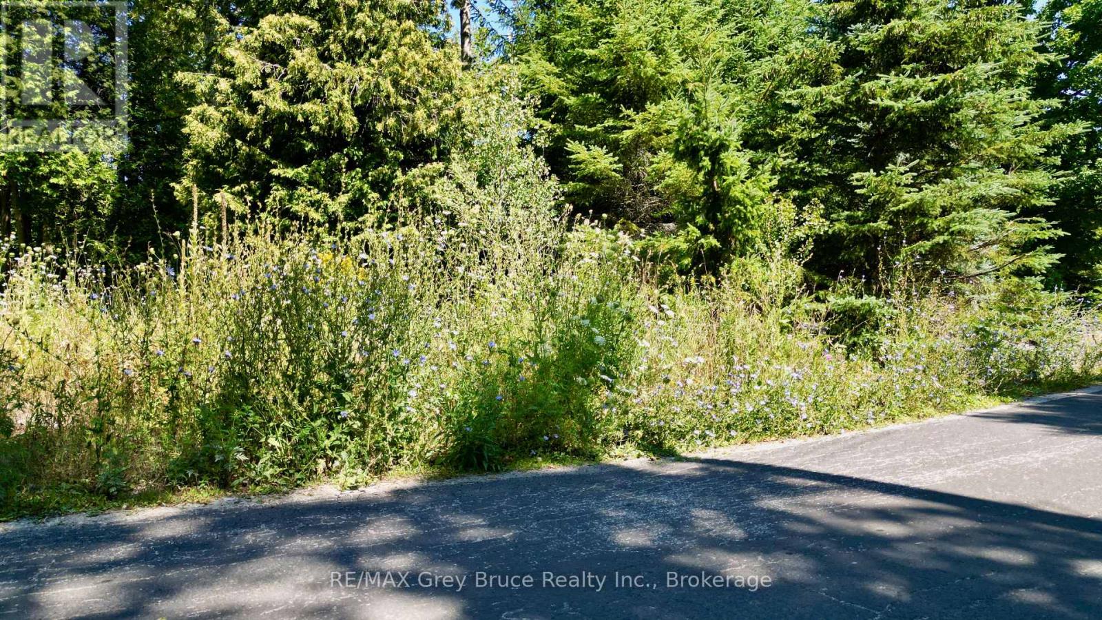 55 Whippoorwill Road, Northern Bruce Peninsula, Ontario  N0H 1W0 - Photo 6 - X13685494