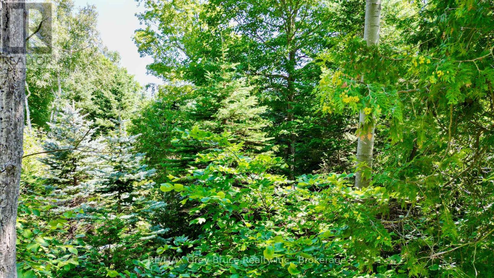 55 Whippoorwill Road, Northern Bruce Peninsula, Ontario  N0H 1W0 - Photo 7 - X13685494