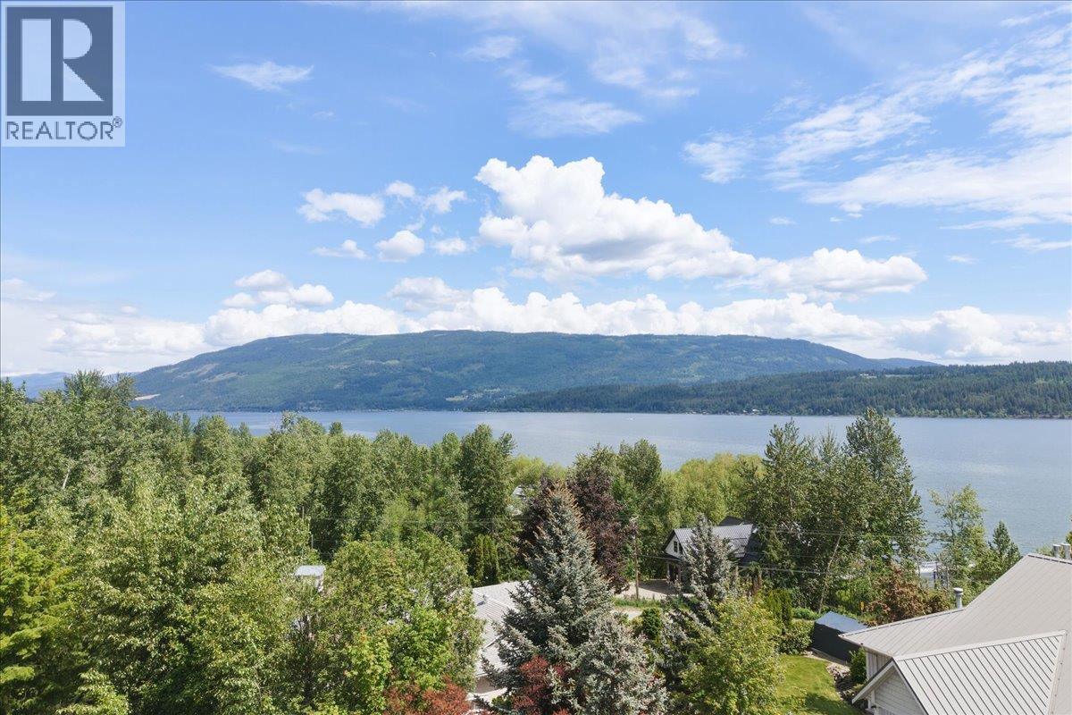 3690 Southview Road, Tappen, British Columbia  V0E 2X1 - Photo 58 - 10397324