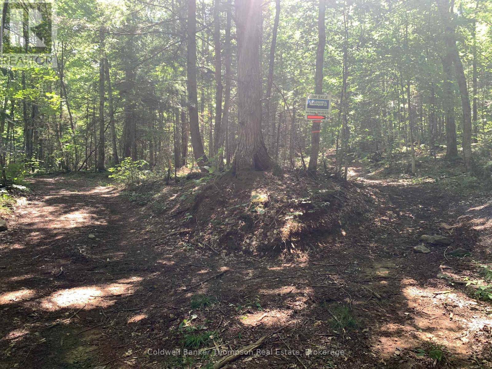 Lot 12 Con 2 N/a Trail, Lake Of Bays, Ontario P1L 1X3 - Photo 3 - X13685564