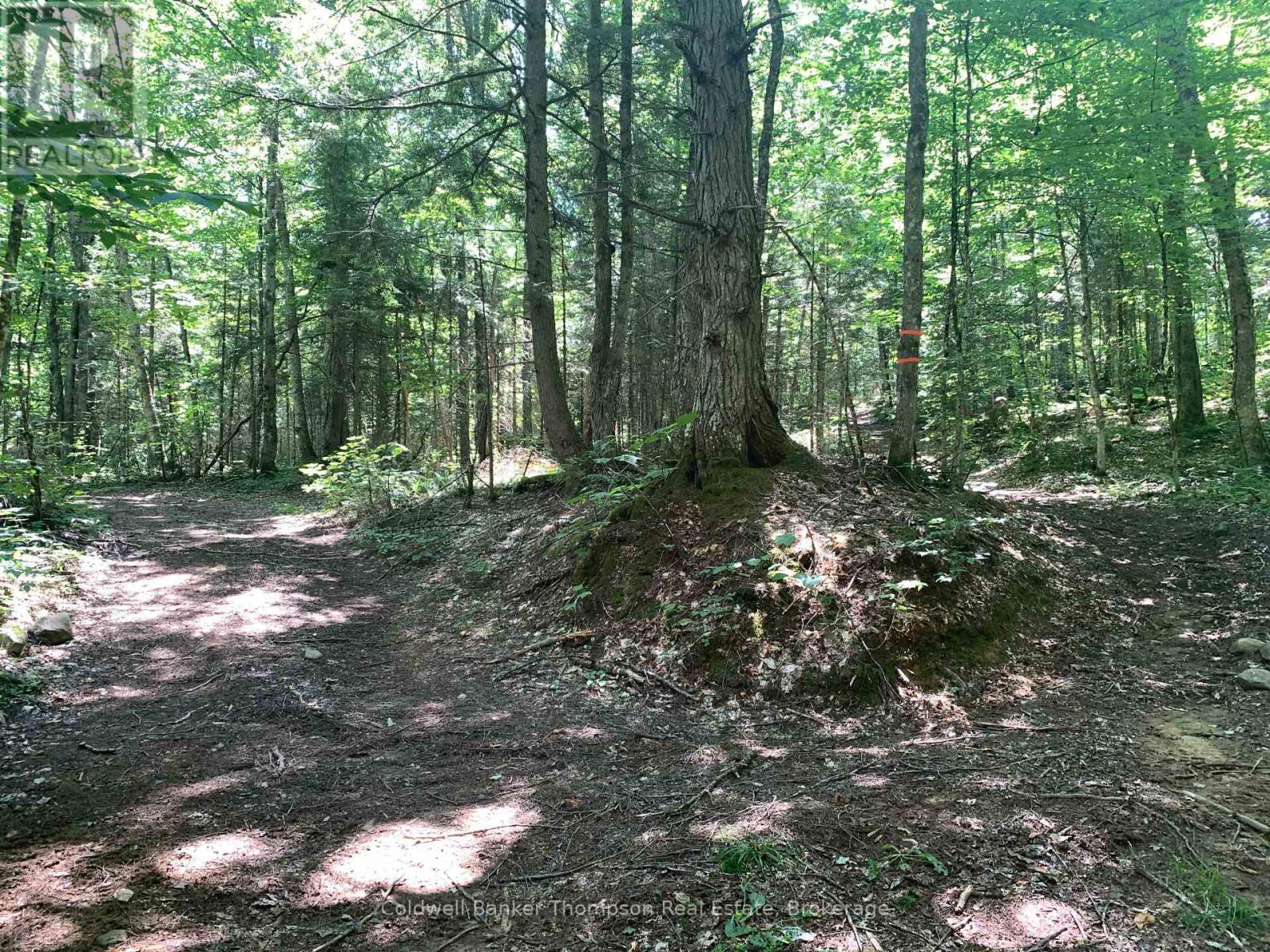 Lot 12 Con 2 N/a Trail, Lake Of Bays, Ontario P1L 1X3 - Photo 4 - X13685564