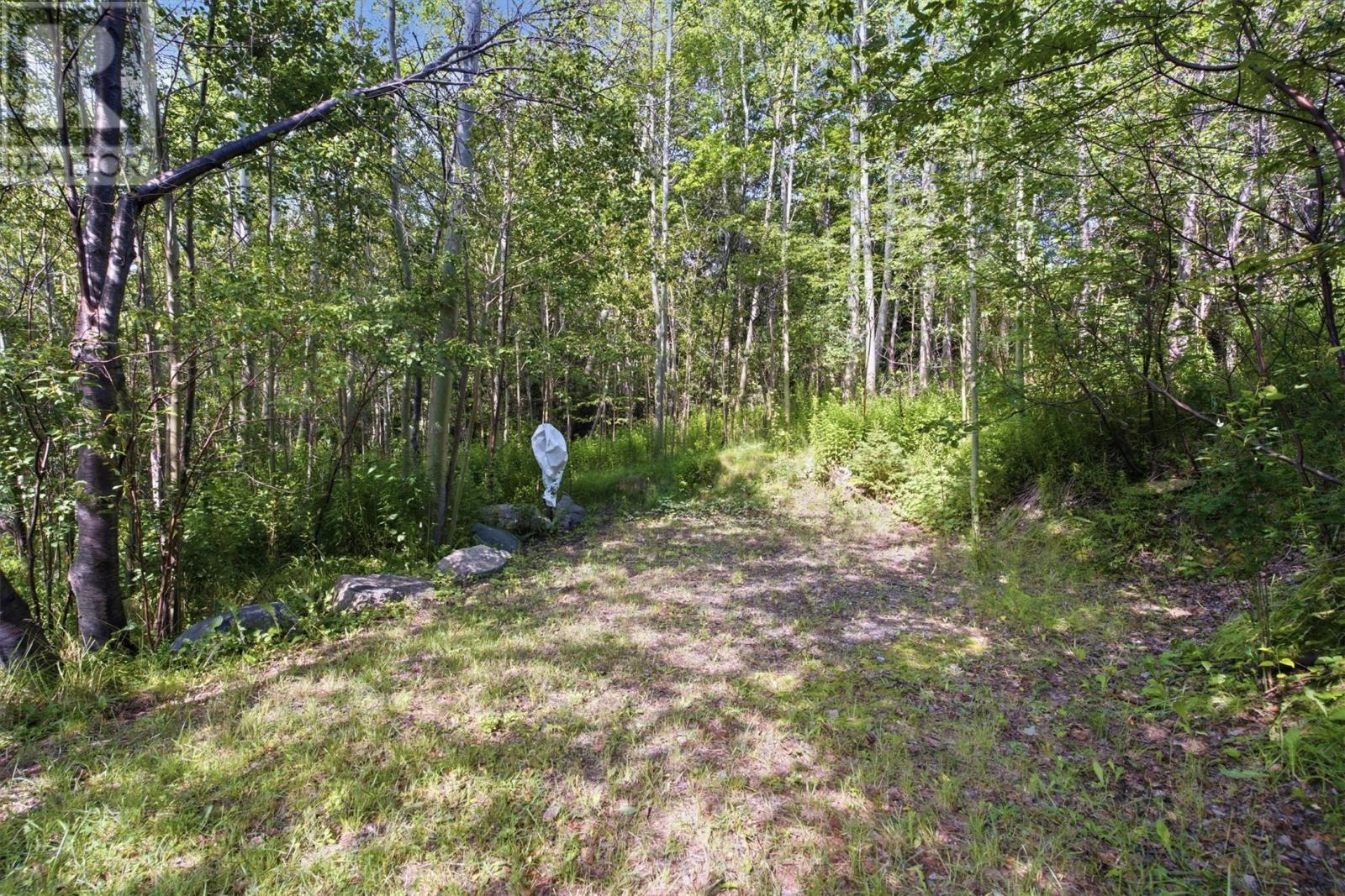16 Peter's Cove Road, Bunyan's Cove — photo 17